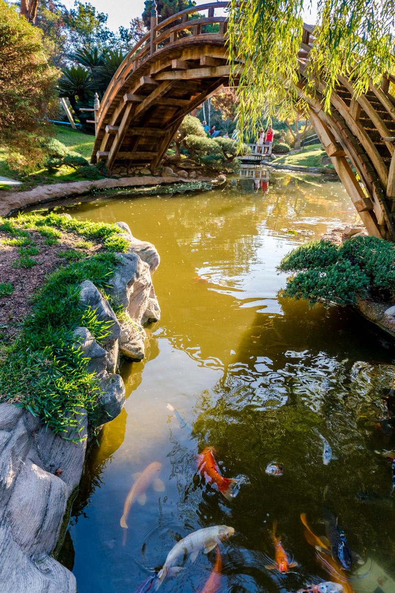 How To Spend A Sunny Day At The Huntington Library Flourishmentary