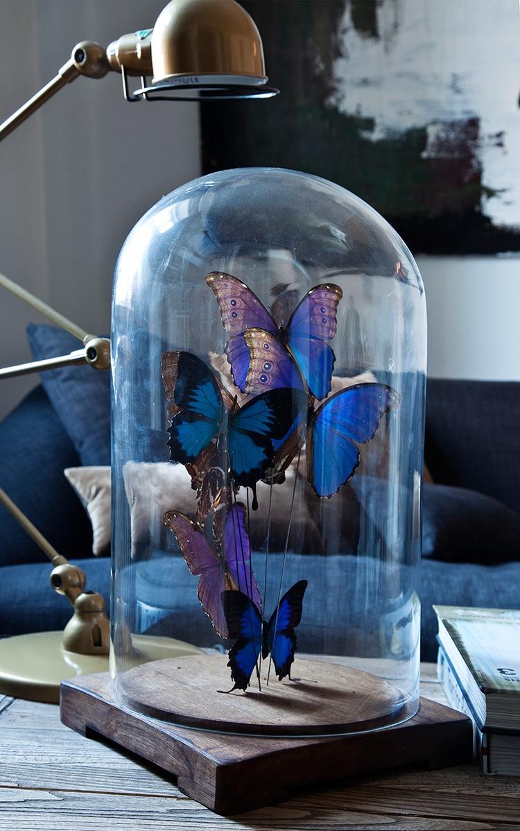 victorian home decor butterflies